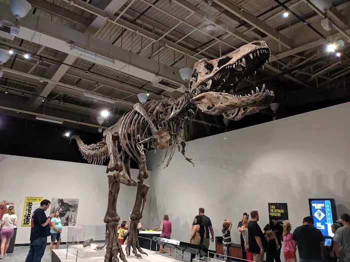 Richard C. Steskal, DC Picture 3