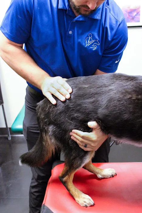 Laursen Chiropractic and Performance Picture 1