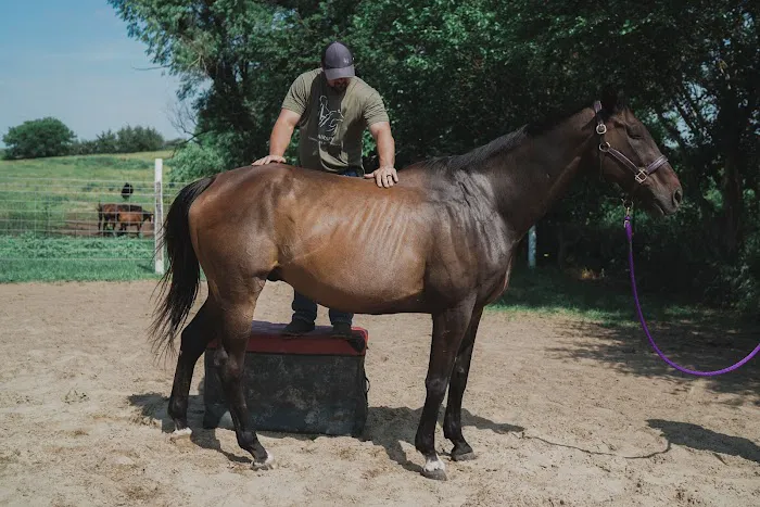 Laursen Chiropractic and Performance Picture 2