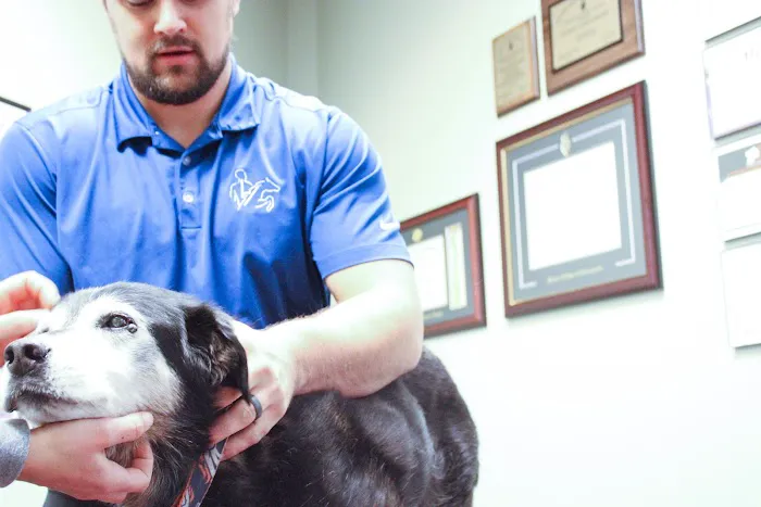 Laursen Chiropractic and Performance Picture 5