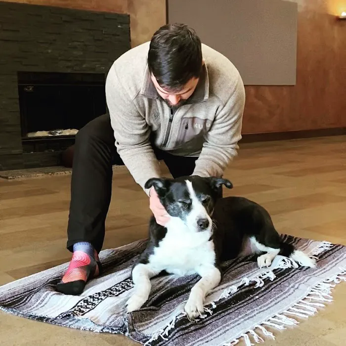 Laursen Chiropractic and Performance Picture 4