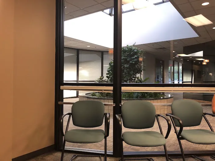 Koca Chiropractic Picture 6