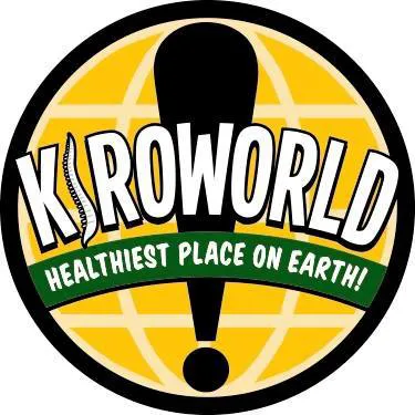 Koca Chiropractic Picture 8