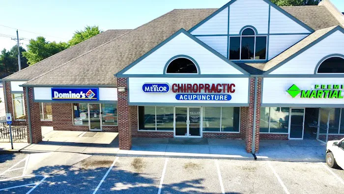 Meylor Chiropractic and Acupuncture Picture 2