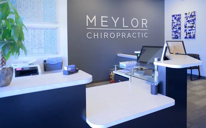 Meylor Chiropractic and Acupuncture Picture 1