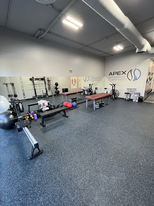 Apex Performance & Chiropractic Picture 3