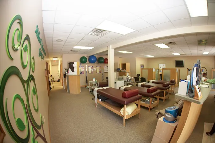 Millard Family Chiropractic & Wellness Picture 1