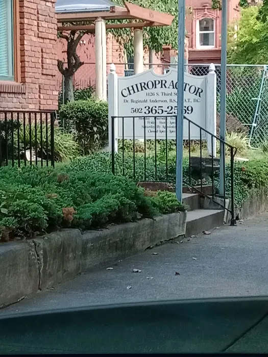 Anderson Chiropractic & Rehab Picture 4