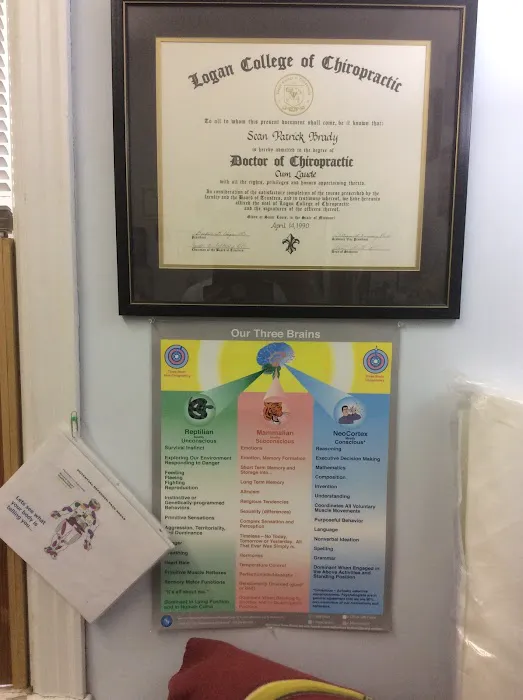 Brady Chiropractic & Wellness Center Picture 9
