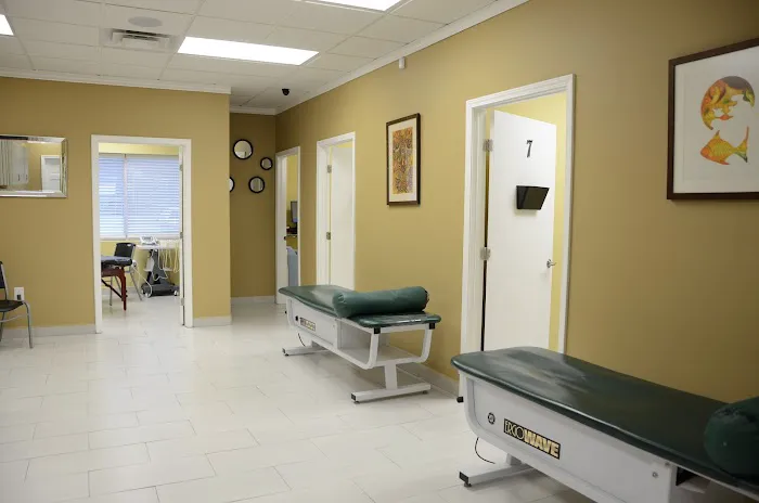 New Cut Chiropractic & Healthcare Picture 9