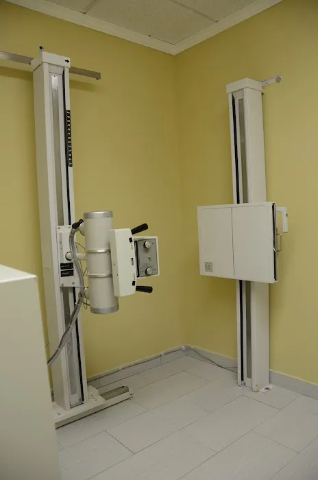 New Cut Chiropractic & Healthcare Picture 10