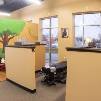 Align Your Spine Chiropractic Louisville ico