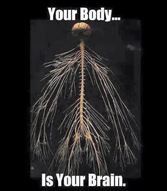 Justin Ross, DC Picture 1