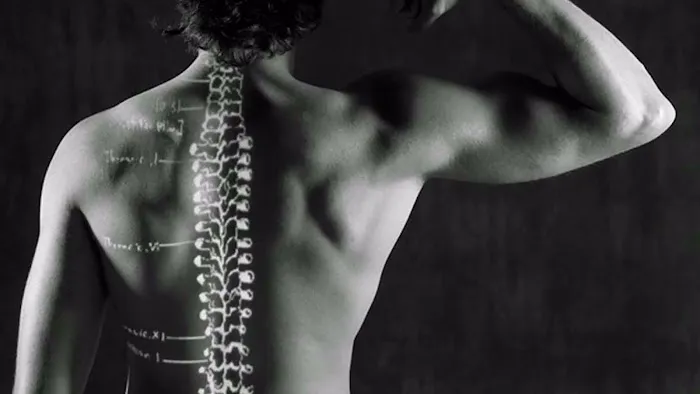 Family Care Chiropractic Fern Creek Picture 1