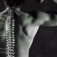 Family Care Chiropractic Fern Creek ico