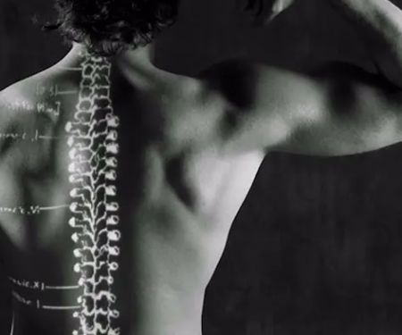 Family Care Chiropractic Fern Creek