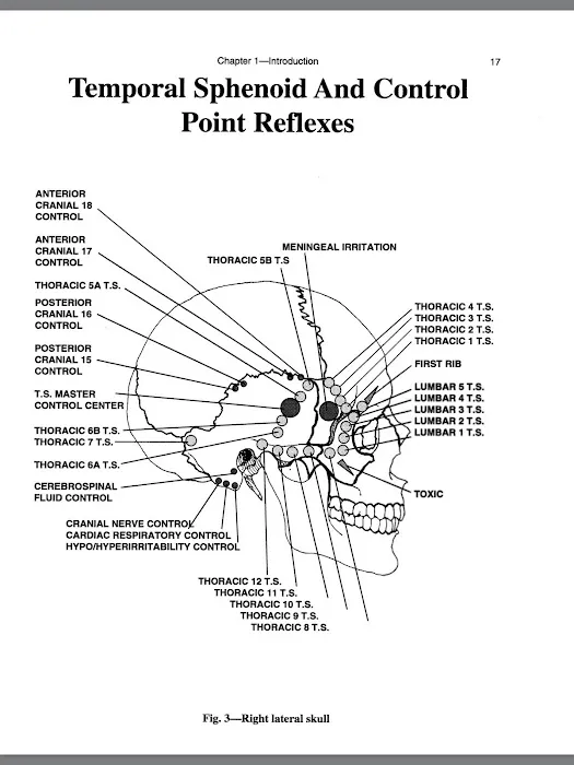 Bourne Chiropractic Picture 10