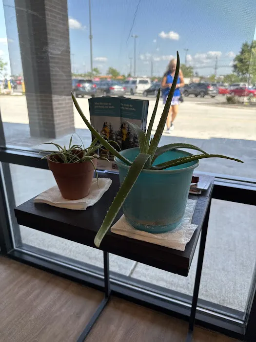 The Joint Chiropractic Picture 7
