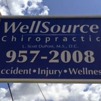 WellSource Chiropractic ico
