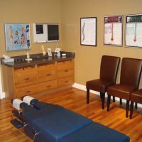 Shelby County Chiropractic ico