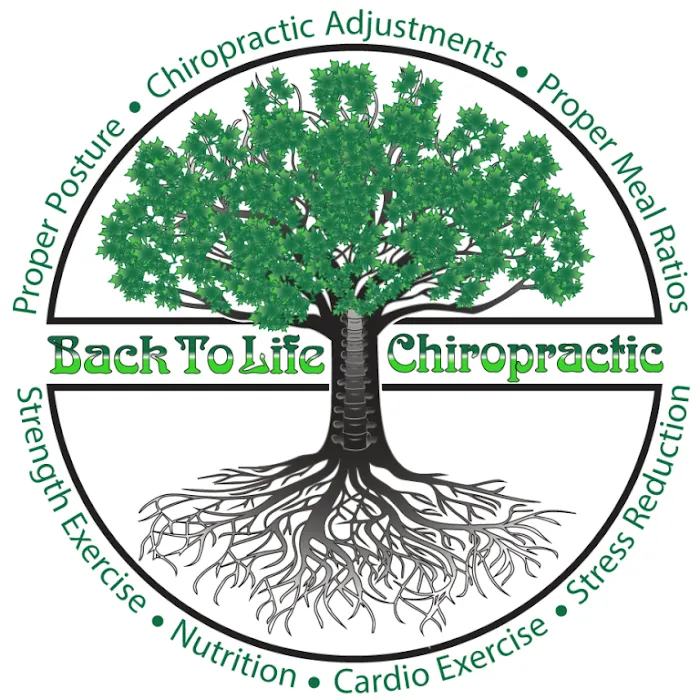 Back To Life Chiropractic Picture 2