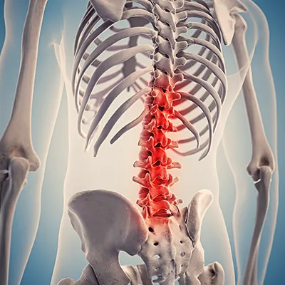 Dr Lee L. Petrucci, Chiropractor in LaGrange, KY Picture 4