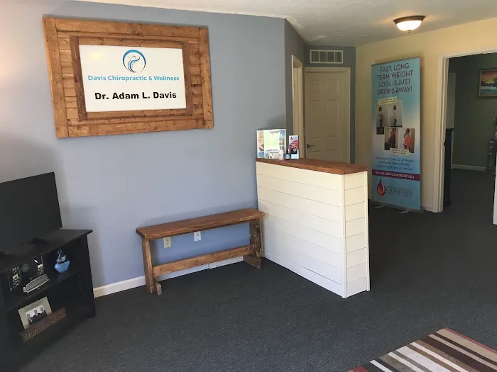 Davis Chiropractic and Wellness Picture 1
