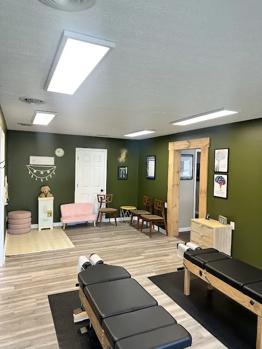 Sunshine Chiropractic | Dr. Teresa Davidson Picture 10