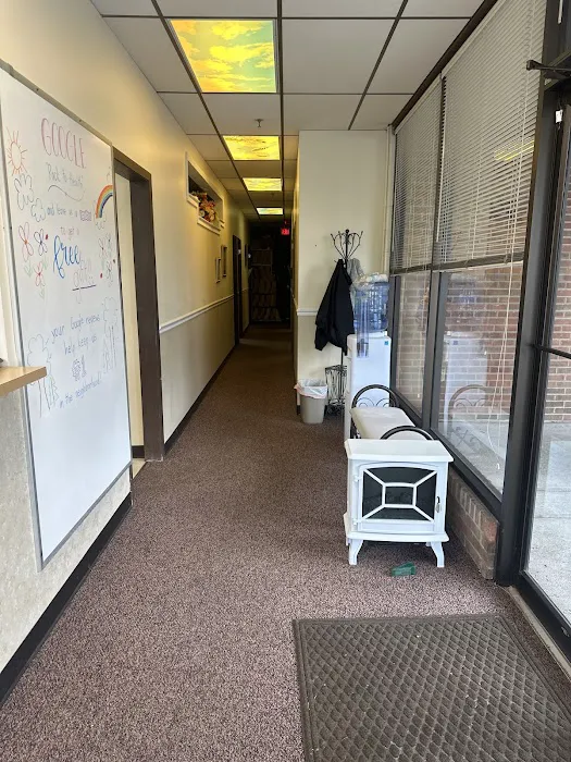 Back To Health Chiropractic Picture 4