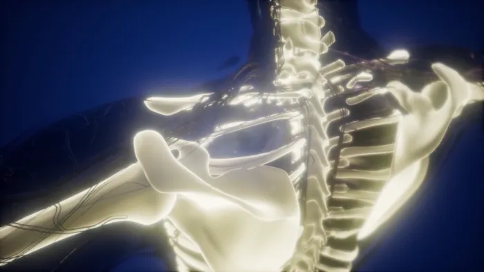 Back To Health Chiropractic Picture 7