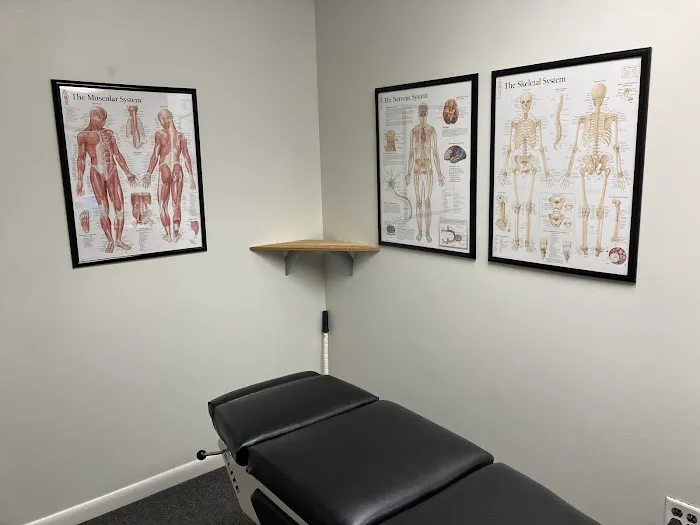 Falmouth Chiropractic Center Picture 3