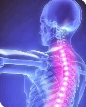 LR Integrative Health & Massage Picture 6