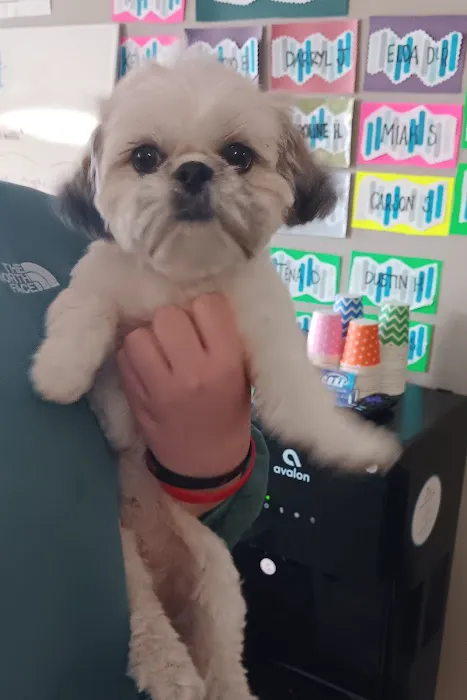 CORE Health Centers - Chiropractic and Wellness Picture 8