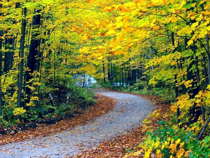 Alexandria Chiropractic Center Picture 1