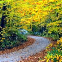 Alexandria Chiropractic Center ico