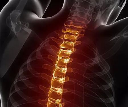 Ganesh Chiropractic PLLC