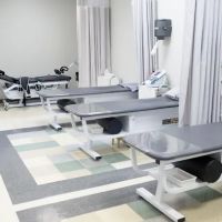 ProWellness Chiropractic and Rehab ico