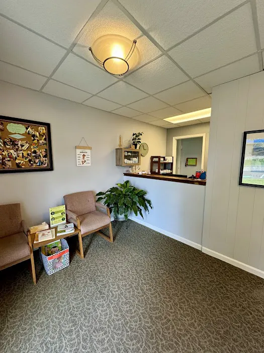 Harrison Chiropractic & Wellness Picture 2