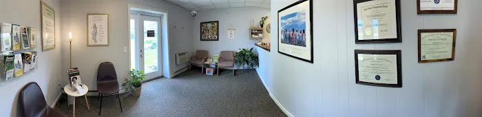 Harrison Chiropractic & Wellness Picture 8