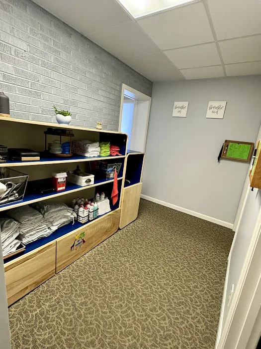 Harrison Chiropractic & Wellness Picture 9