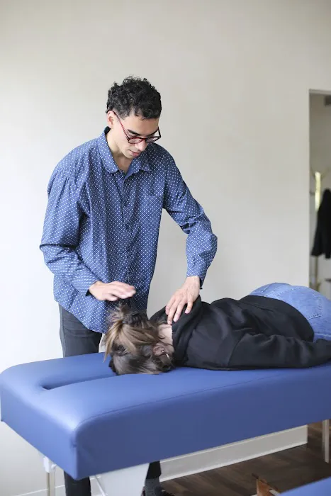 Intuitive Spine Picture 8