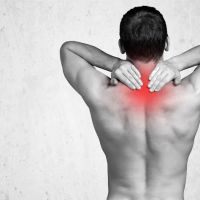 Root Cause Wellness Center ico