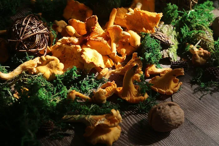 Root Cause Wellness Center Picture 9