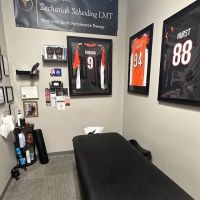 Ripploh Chiropractic ico