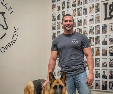 Cincinnati Animal Chiropractic