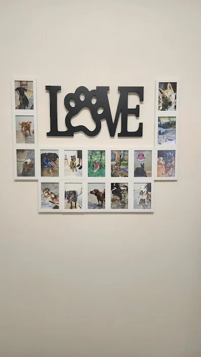 Cincinnati Animal Chiropractic Picture 9