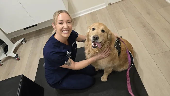 Cincinnati Animal Chiropractic Picture 8