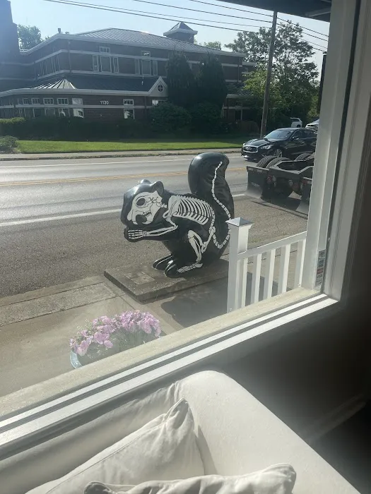 Glendale Family Chiropractic Picture 1