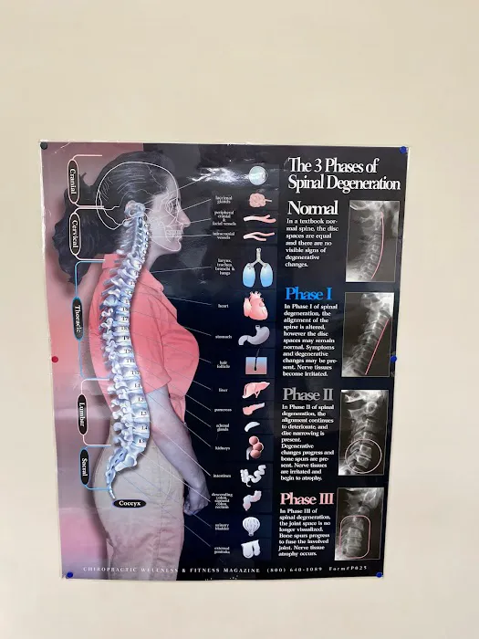 Bell Chiropractic & Wellness Center Picture 4