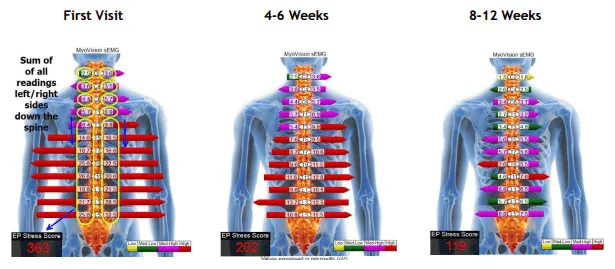 Dr. Kelly Duffner Chiropractor Picture 9